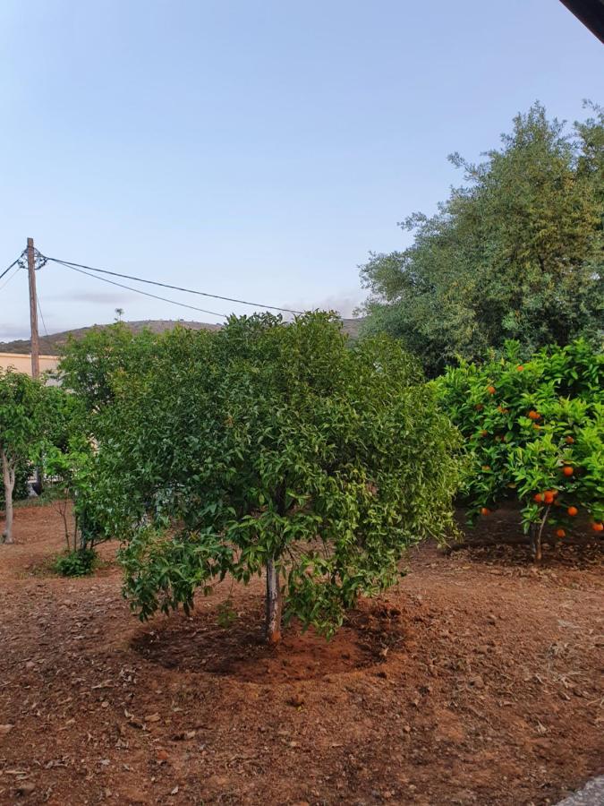 Chania Casa Portokali Perivólia Extérieur photo